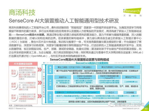 2021年中國(guó)人工智能基礎(chǔ)層行業(yè)報(bào)告 人工智能基礎(chǔ)軟件開發(fā)
